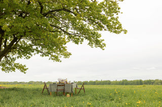 A table in a field of grass under a tree.